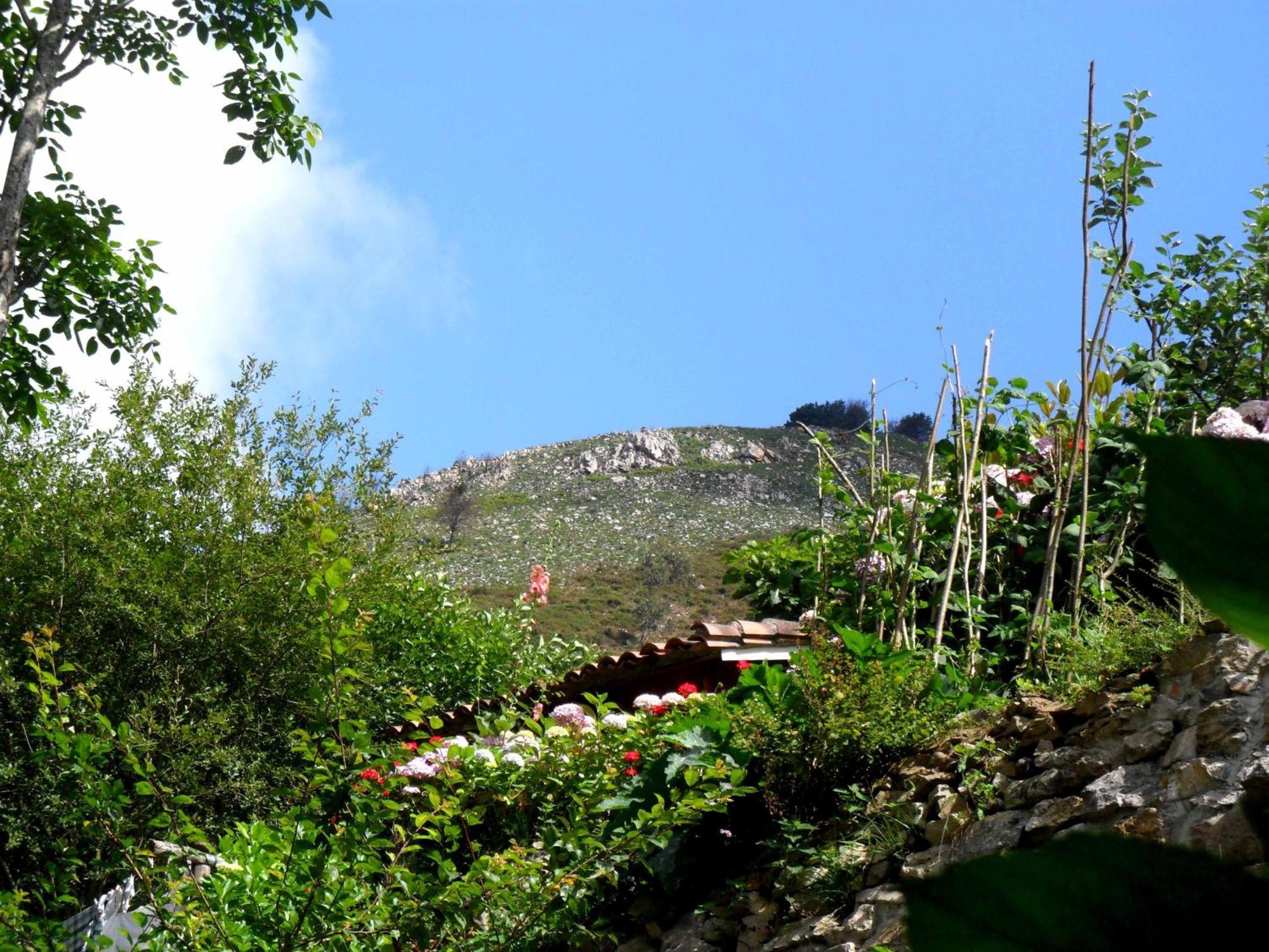 Casa Rural La Posada Del Alba Alea Esterno foto