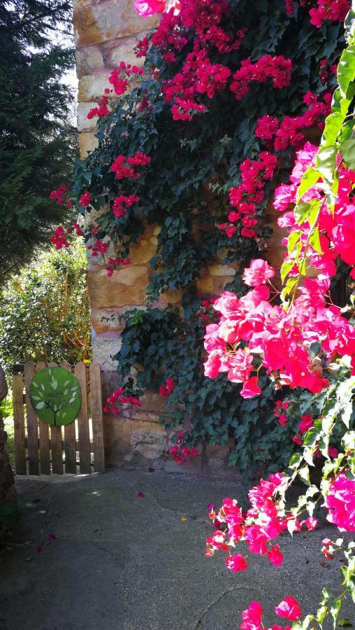 Casa Rural La Posada Del Alba Alea Esterno foto